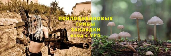 Альфа ПВП Покачи
