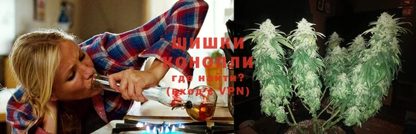 apvp Пестово