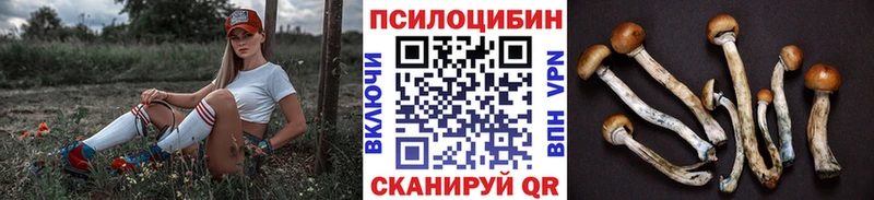 Галлюциногенные грибы Magic Shrooms  Красный Кут 